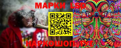 МДПВ Донецк