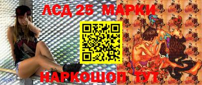 амф Донской