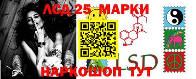 МДПВ Донецк