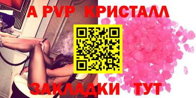 амф Донской