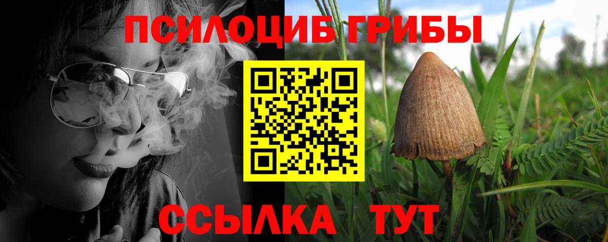 Псилоцибиновые грибы прущие грибы Щёлково
